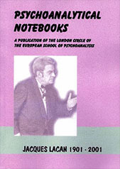 Psychoanalytical Notebooks #8